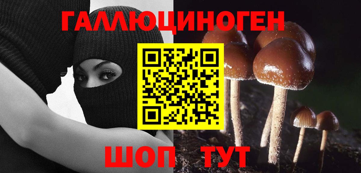 Уварово  Галлюциногенные грибы MAGIC MUSHROOMS  Вход с VPN 