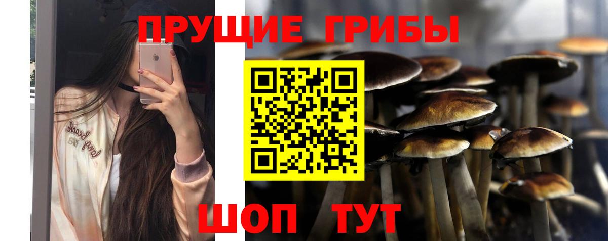 Псилоцибиновые грибы прущие грибы Уварово